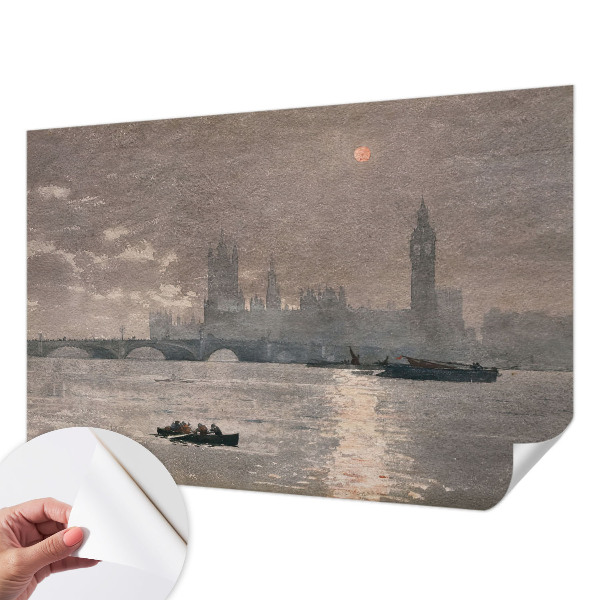 Peel and stick wallpaper mural featuring a night panorama