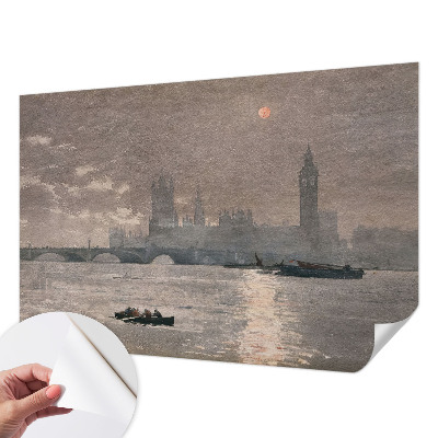 Peel and stick wallpaper mural featuring a night panorama