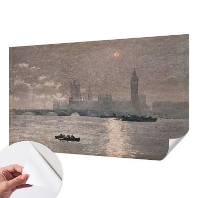 Peel and stick wallpaper mural featuring a night panorama