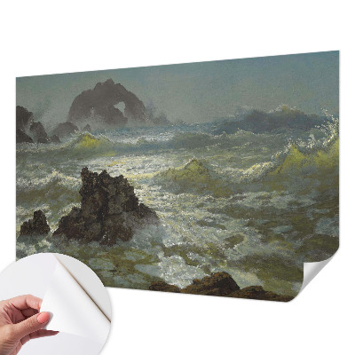 Stick-on wall mural Stormy sea