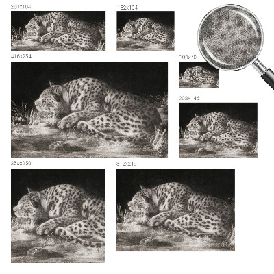 3D photo wallpaper mural with a resting leopard motif
