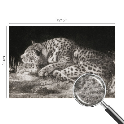 3D photo wallpaper mural with a resting leopard motif