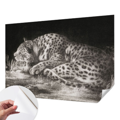 3D photo wallpaper mural Leopard resting