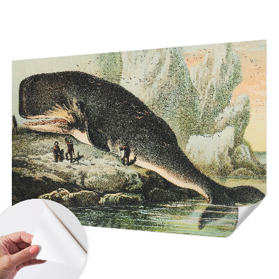 Peel and stick wall mural featuring a sea gigantism design