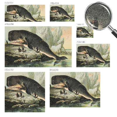 Peel and stick wall mural featuring a sea gigantism design