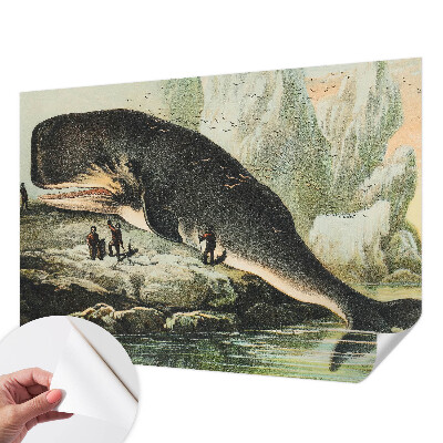 Peel and stick wall mural featuring a sea gigantism design