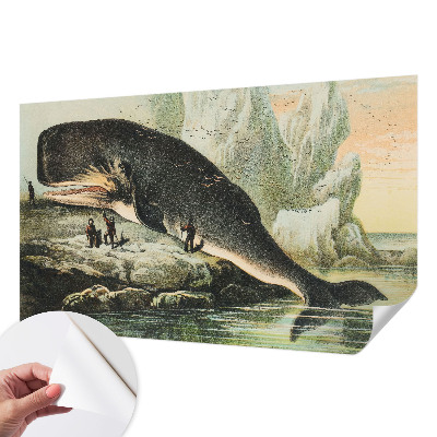 Peel and stick wall mural featuring a sea gigantism design