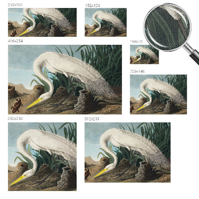 Removable wall mural featuring a majestic heron