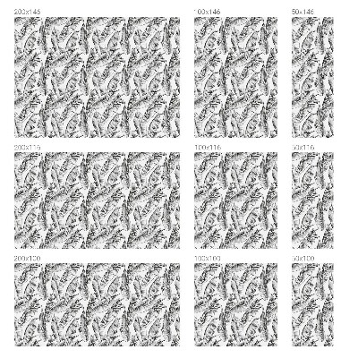 Patterned window film Tropical leaves