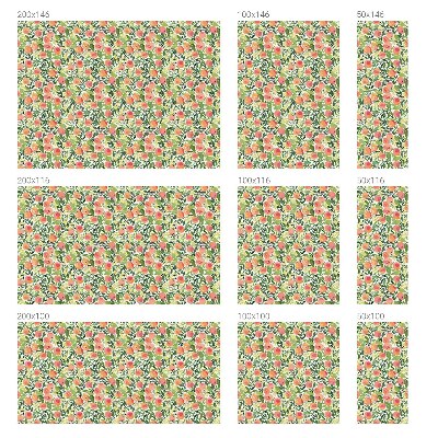 Frosted glass film stained glass effect Fruit pattern