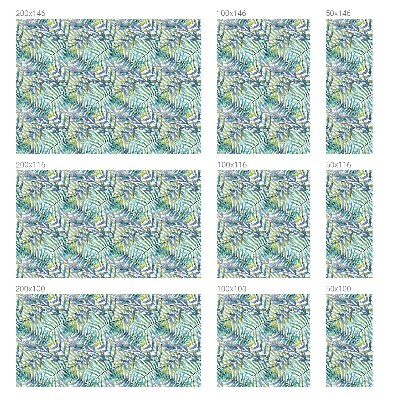 Colored window film stained glass Tropical watercolor