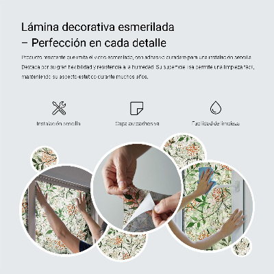 Privacy window film Green succulents