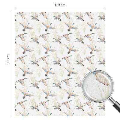 Frosted glass film stained glass effect Birds nature