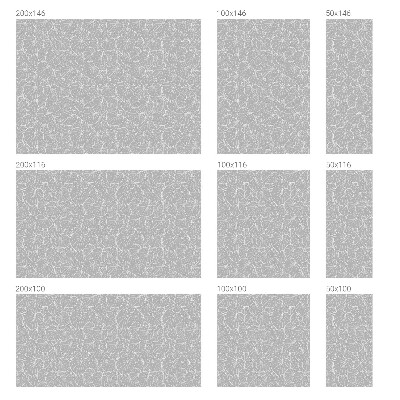 Patterned window film Leafy elegance