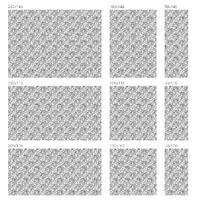 Frosted glass film stained glass effect Classic portraits