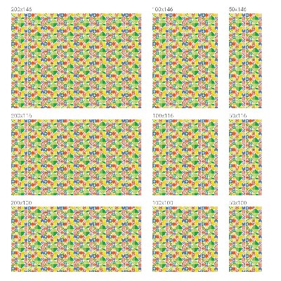 Patterned window film Colorful fruits