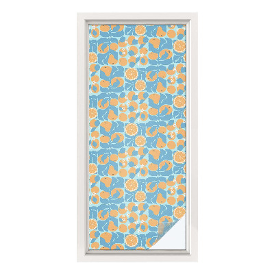 Frosted glass film stained glass effect Fishy citrus