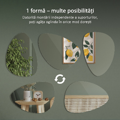 Organic shaped mirror stylish accessory