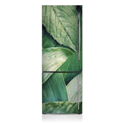 Decoration refrigerator cover Green leaves