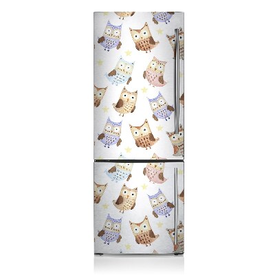 Decoration refrigerator cover Owl words