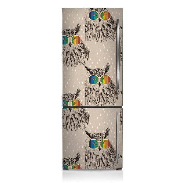 Decoration refrigerator cover Owl in glasses