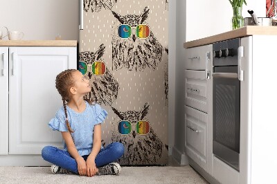 Decoration refrigerator cover Owl in glasses