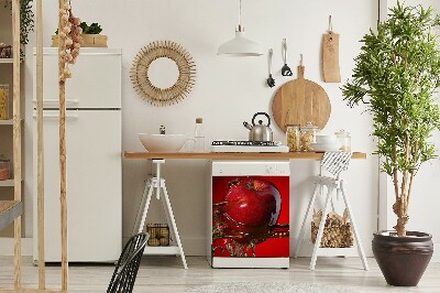 Decorative dishwasher magnet Red apple