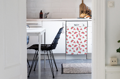 Magnetic dishwasher cover Watermelon rain