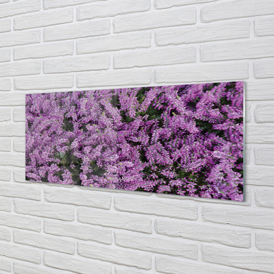 Acrylic print Lilane flowers