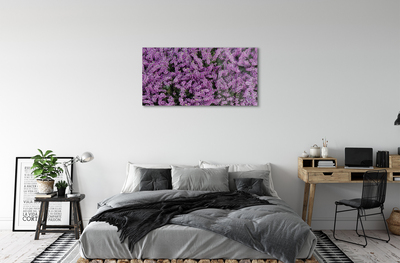 Acrylic print Lilane flowers