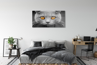 Acrylic print British gray cat