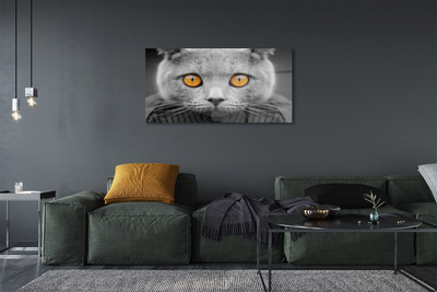 Acrylic print British gray cat