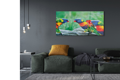 Acrylic print Parrot colorful wave
