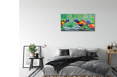 Acrylic print Parrot colorful wave
