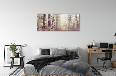 Acrylic print Trees