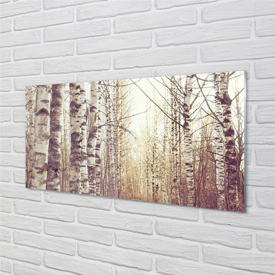 Acrylic print Trees