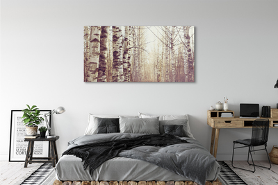 Acrylic print Trees