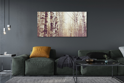 Acrylic print Trees