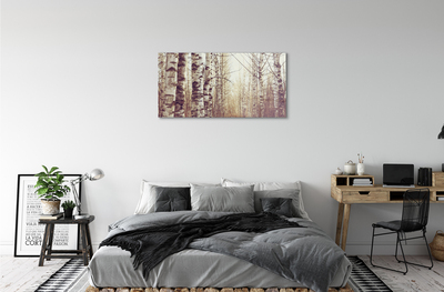 Acrylic print Trees