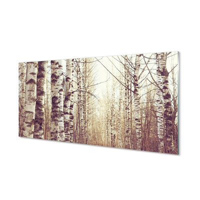 Acrylic print Trees