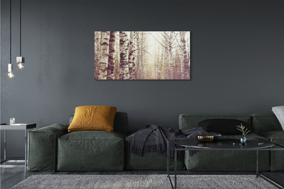 Acrylic print Trees