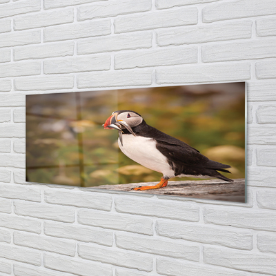 Acrylic print Parrot