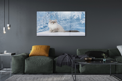 Acrylic print Cat winter