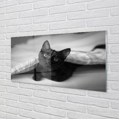 Acrylic print Cat under cover