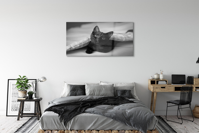 Acrylic print Cat under cover