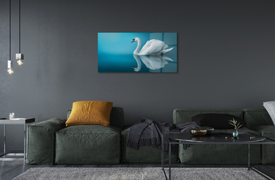 Acrylic print Swan in the water