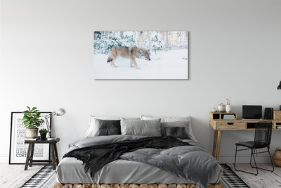 Acrylic print Loup winter forest
