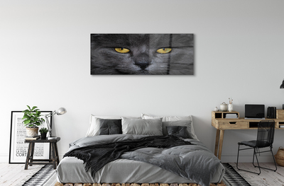 Acrylic print Black cat