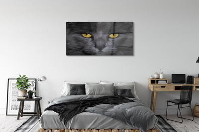 Acrylic print Black cat