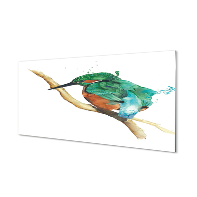 Acrylic print Painted colorful parrot